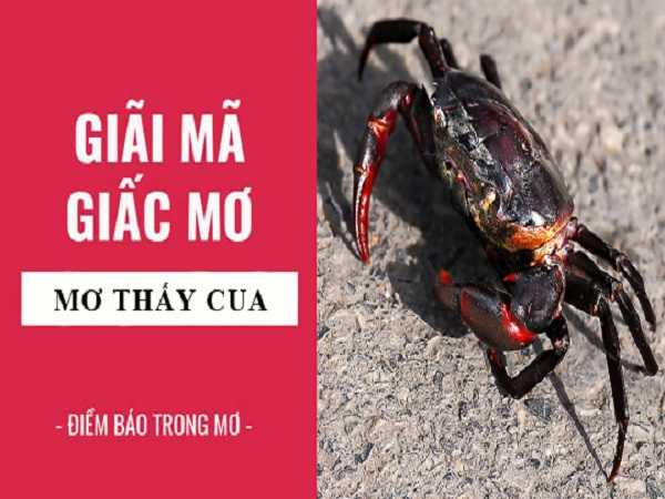 Điềm báo trong giấc mơ thấy cua