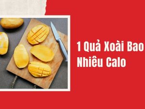 Xoài bao nhiêu calo? Các món ngon với xoài giúp giảm cân