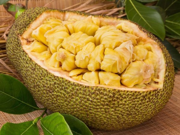 Mít bao nhiêu calo? Sự thật về ăn mít có béo không?