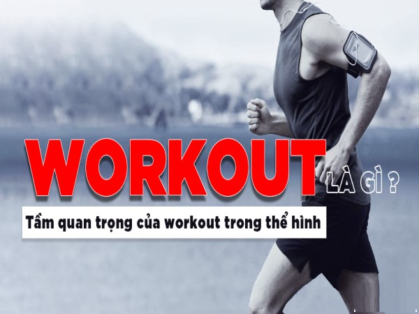 Workout là gì? Các bài tập workout cơ bản