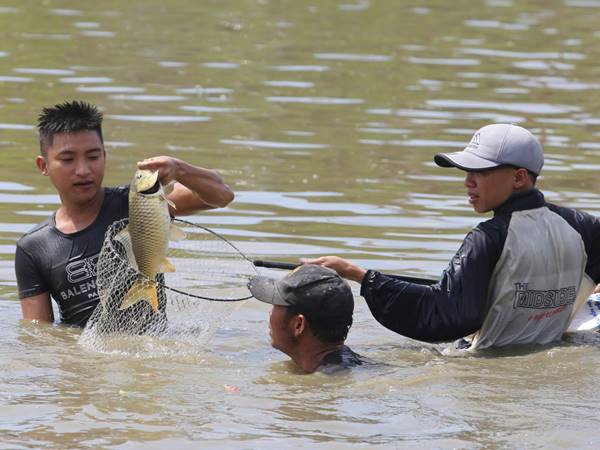 Nằm mơ thấy bắt cá đánh con gì? Giải mã con số may mắn 2