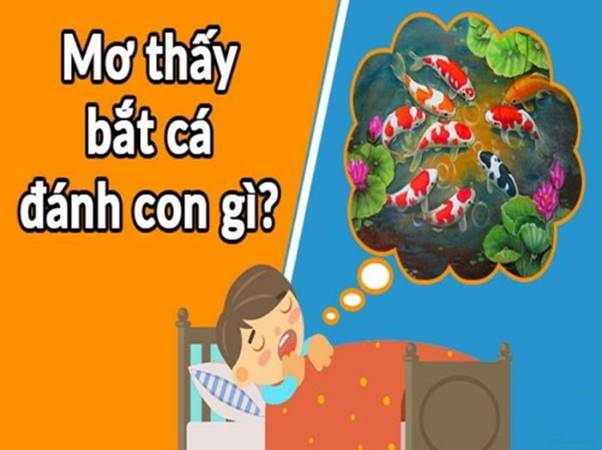 Ý nghĩa của việc bắt cá trong giấc mơ