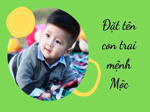Nguyên tắc đặt tên con trai theo mệnh Mộc hay, ý nghĩa