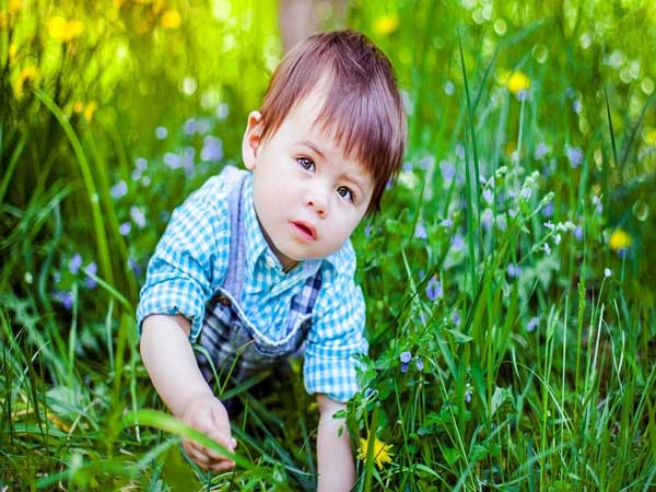 Gợi ý những tên hay cho con trai mệnh Mộc