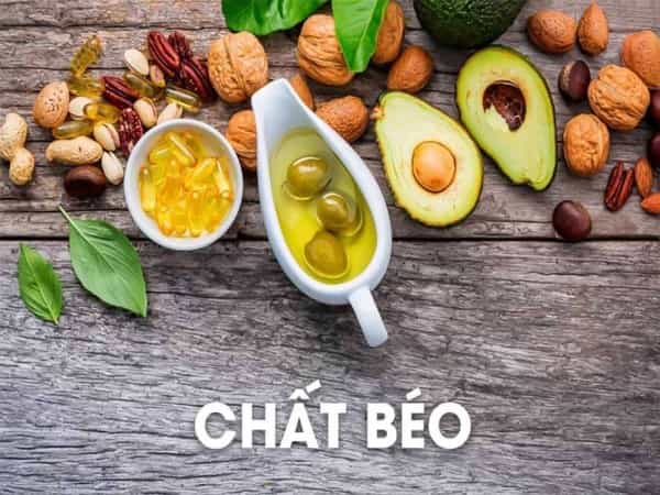 Chất béo tốt – Hỗ trợ sức bền và chức năng cơ thể Chất béo tốt – Hỗ trợ sức bền và chức năng cơ thể