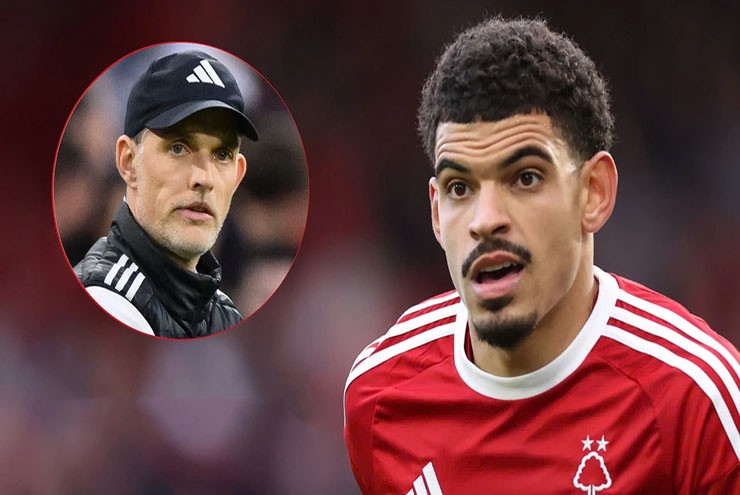 BĐ Anh: HLV Anh bị chỉ trích vì cách dùng Morgan Gibbs-White