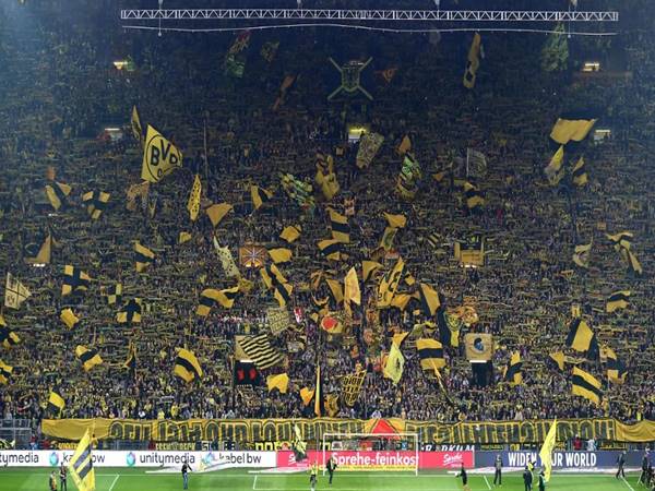 Văn hóa sân cỏ ở Bundesliga: Nét đặc trưng của bóng đá Đức